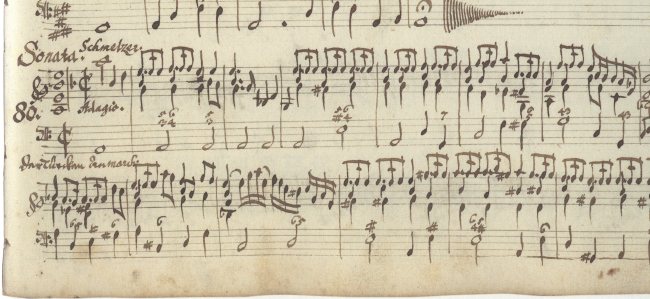 Biber, Sonata no.80, Wiener Minoritenkonvents Ms XIV 726)