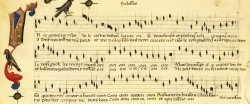 Modena alpha M.5.24