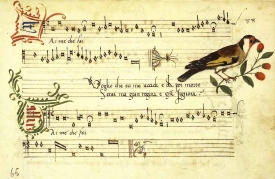 Aim che fai, frottole for 4 voices, from a presentation songbook, c.1496. Modena, Bibltioteca Estense, it. 1221, fol.65v (Il Bulino)
