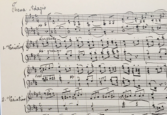 Strauss, 12 Variations